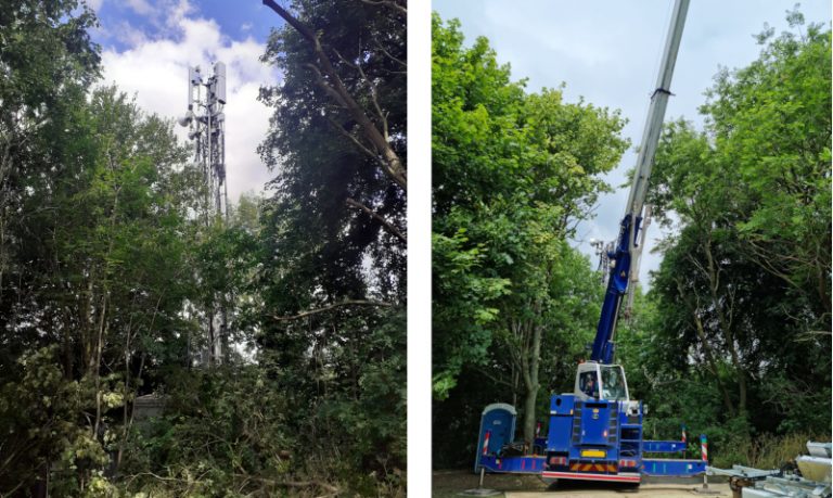 Tree clearance prior to telecoms head frame lift Derby June 22