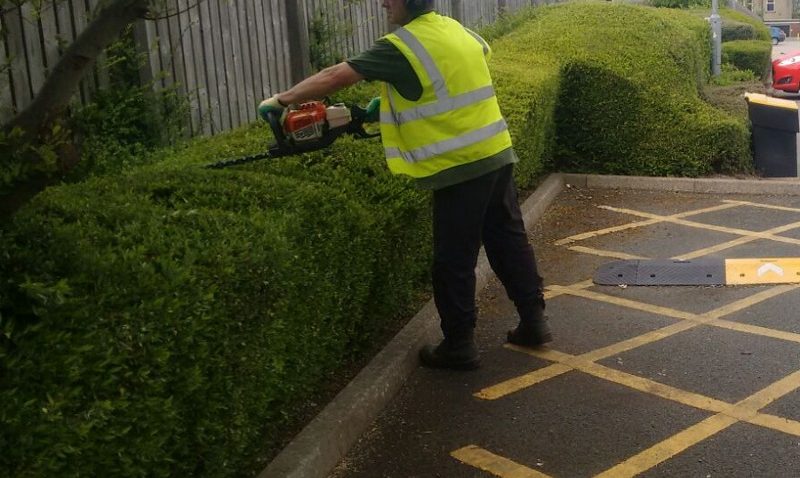 Hedge cutting at an industrial estate